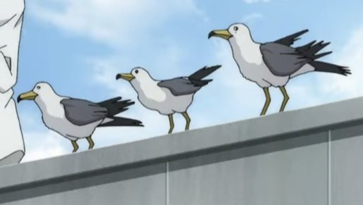 gdkdsrh_'s tweet photo. 밥 받는 애는 쳐다도 안 보고 정작 못 받는 애들만 쳐다봄 https://t.co/n4SgeLPl3g