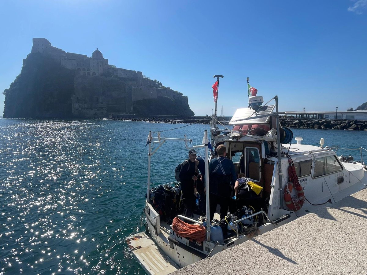 MED_Artemis's tweet photo. 17 years after the first #seagrass transplant in Ischia, @ISPRA_Press confirms: the #Posidonia meadow is thriving.

Read: https://t.co/TBAEkCCzwx https://t.co/4QaWvf0yym