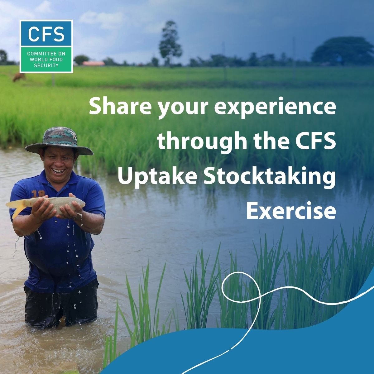 CFS tweet media