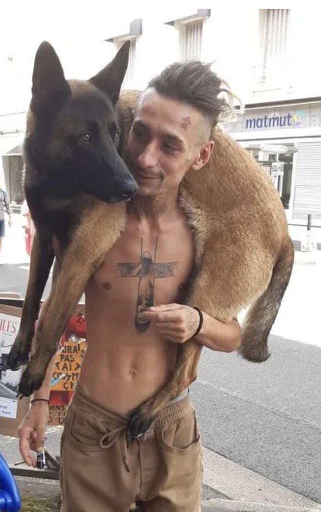 masonnsequeda's tweet photo. @Titouantifa @ActuFoot_ Te revoilà titi ? T’as enfin fini ta 8.6 le punk à chien ? https://t.co/5UiBAU5xGK