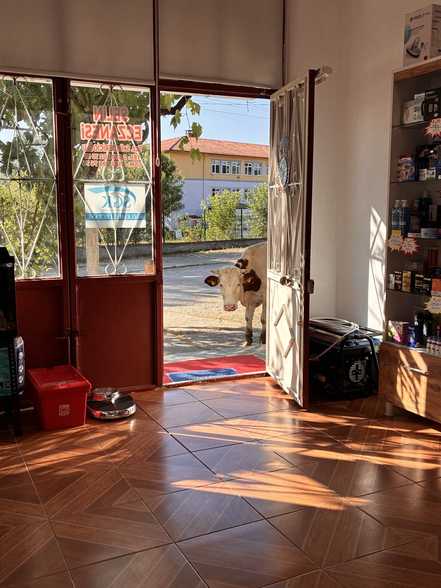 DericiogluSelin's tweet photo. Dermokozmetik eczane cart curt o sırada benim eczane 😂 https://t.co/iXCV6jsBhk