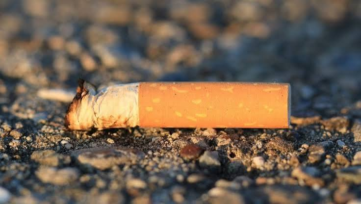 Isabellayf1's tweet photo. 🚬¿Cuánto tarda en degradarse una colilla de cigarrillo?
🚭Puede tardar entre 10 y 15 años en degradarse.
Y sabías que... Una sola colilla puede contaminar hasta 50 litros de agua al liberar sustancias tóxicas como nicotina, alquitrán y metales pesados.
#ODM2026 #MedioAmbiente https://t.co/j2uU4mPYvN