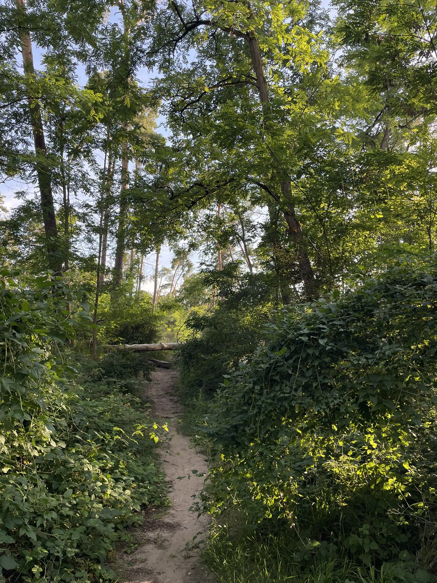 manicinterlude's tweet photo. today i walked 15k steps, saw a butterfly and am now enjoying a vino https://t.co/BDaDBwyCOr