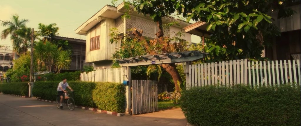 itzforyouth's tweet photo. not my hometown but i know my way around 🍊🌳 https://t.co/yMZz6ZPjoa