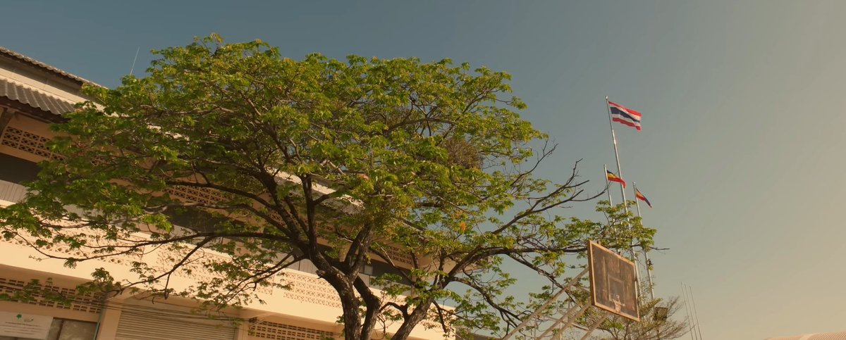itzforyouth's tweet photo. not my hometown but i know my way around 🍊🌳 https://t.co/yMZz6ZPjoa