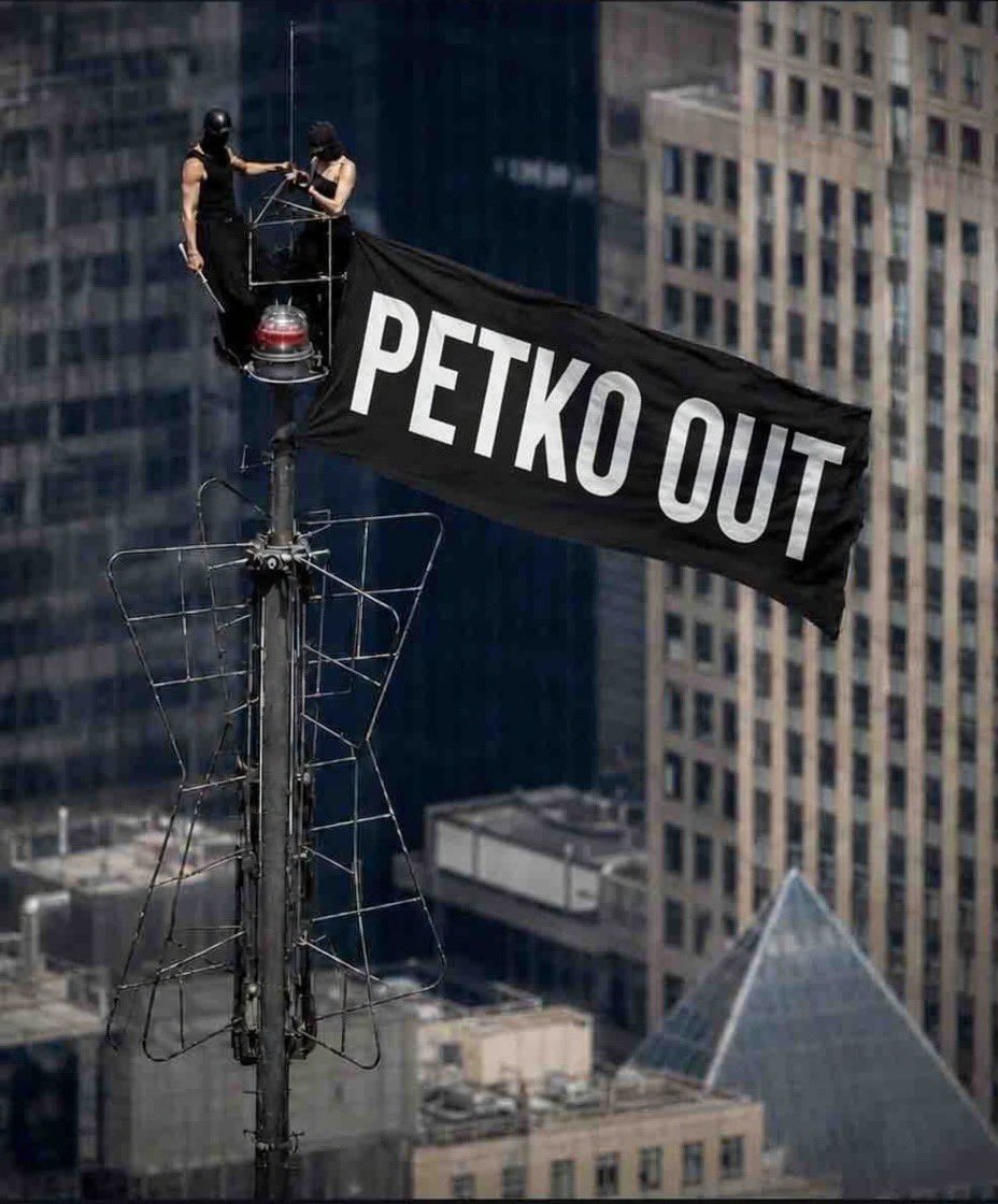 AleeChess's tweet photo. #PETKOOUT https://t.co/bqcPBPIbw3