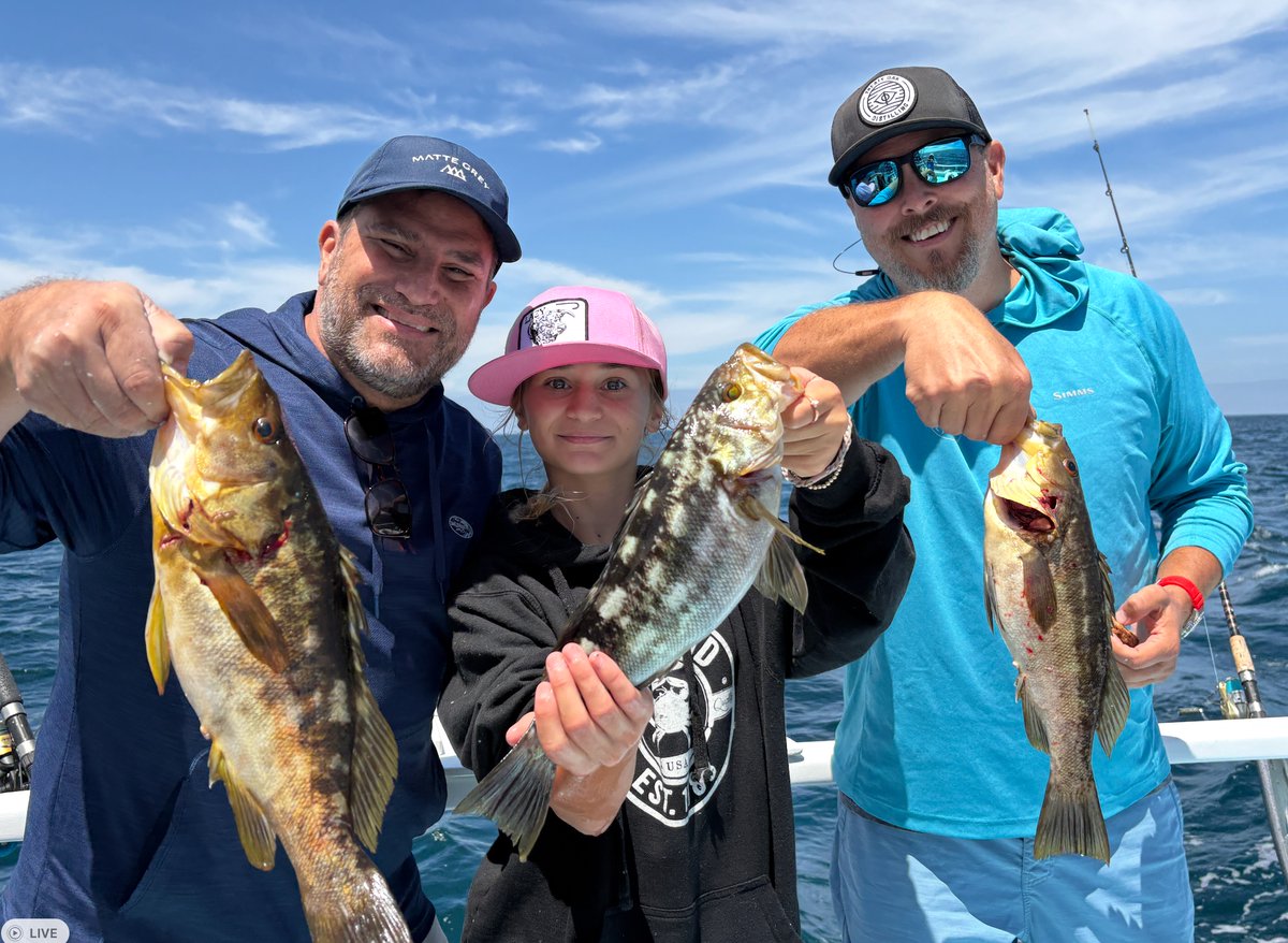 Colettafishing's tweet photo. All You Want Calico Bass! https://t.co/jdChot9Wye