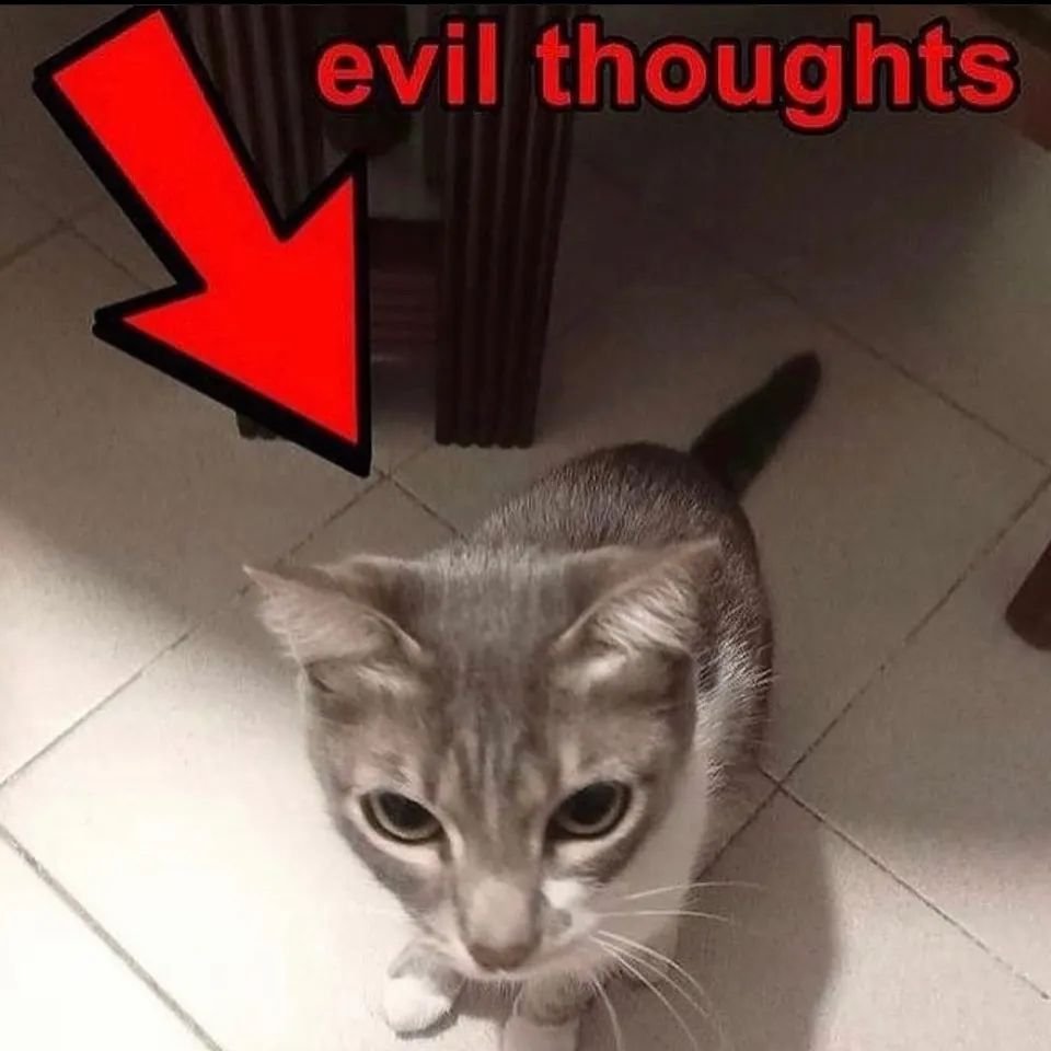 PunchingCat's tweet photo. https://t.co/PfwY8Z1IzZ