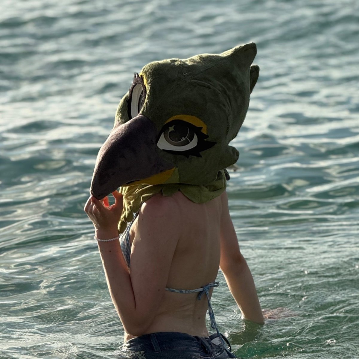 AvaTheKea's tweet photo. Happy fursuit friday!
Fun fact: birds look extra cute in the water!!! https://t.co/QmKmX4ejVA