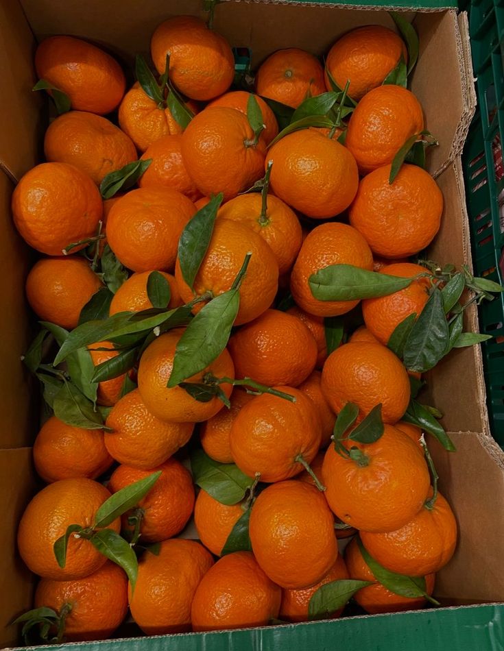 darby4real's tweet photo. Can you guess the fruit? https://t.co/v5ojnQdY4e