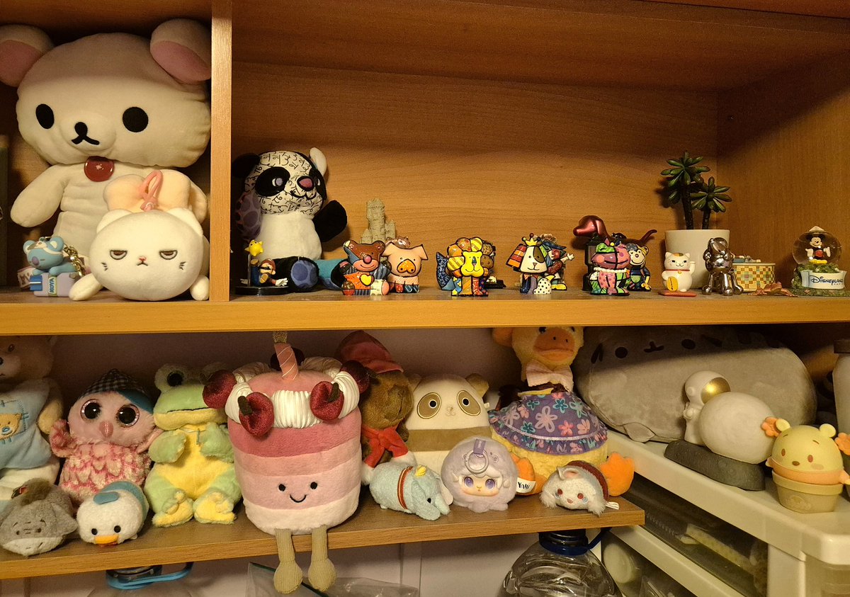 astercats's tweet photo. Sometimes I feel a bit self conscious of my room so these posts have me feeling so much better 🥹 room of a 27 yo🪻 https://t.co/7vrlvEYLTQ