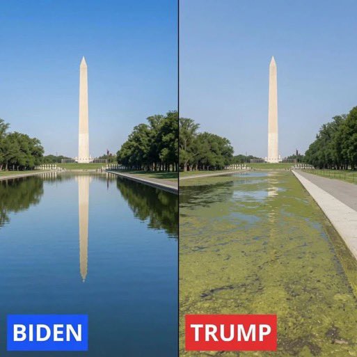 realpublicius's tweet photo. 100% https://t.co/YXFb2wS9jp