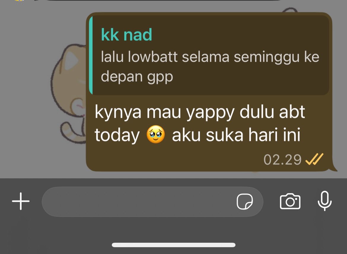aira tweet media