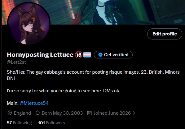 Lett2st's tweet photo. i just realised that i hit 100 followers- i didn't even notice!

thank you all for being here! i hope you've all been enjoying my pictures~ https://t.co/6yXkooNkfE