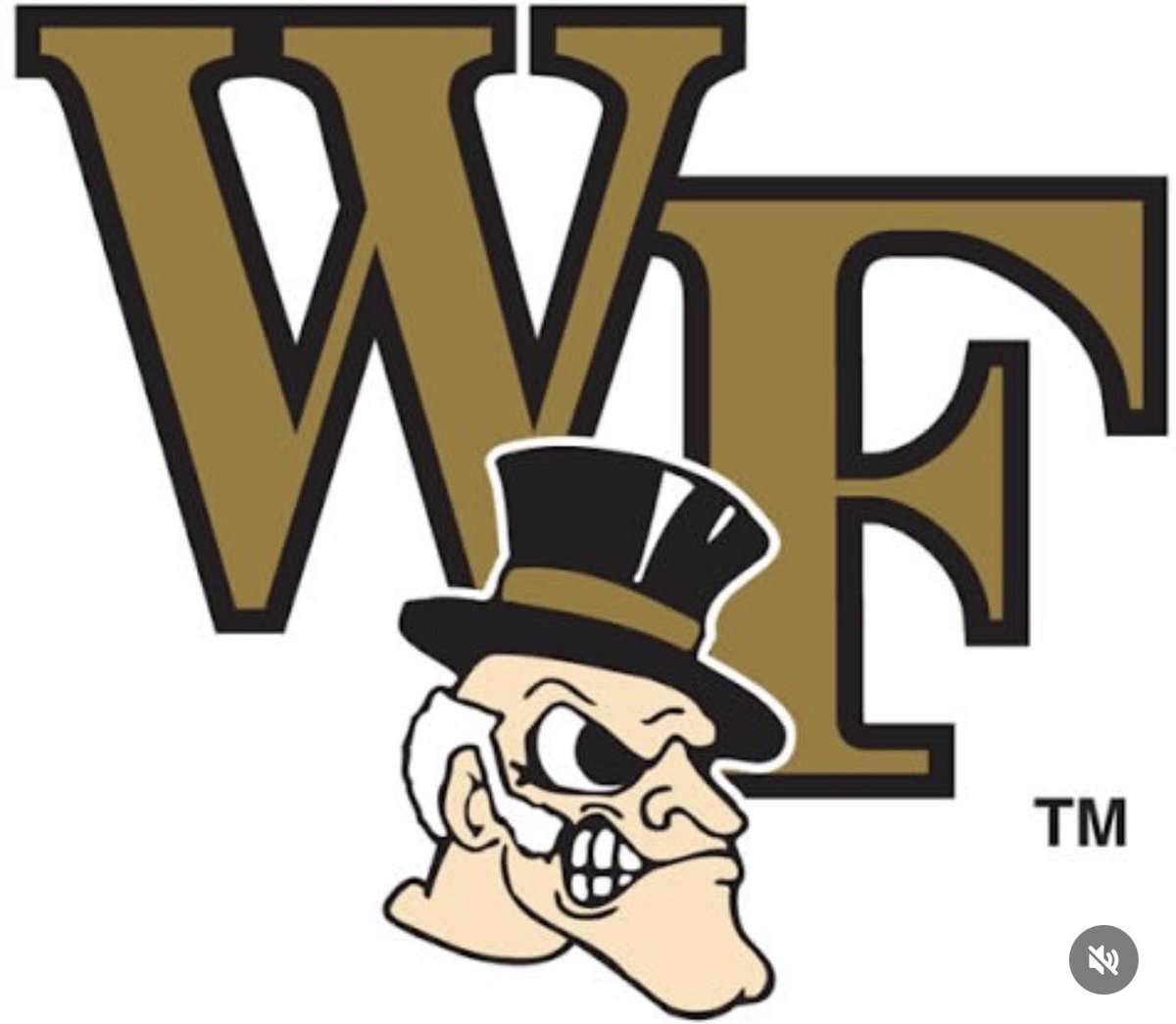 MicahGunter8's tweet photo. Blessed to receive a D1 offer to Wake Forest University! Thanks to the coaching staff for believing in me! #agtg #soon https://t.co/ezrlCkqvFS