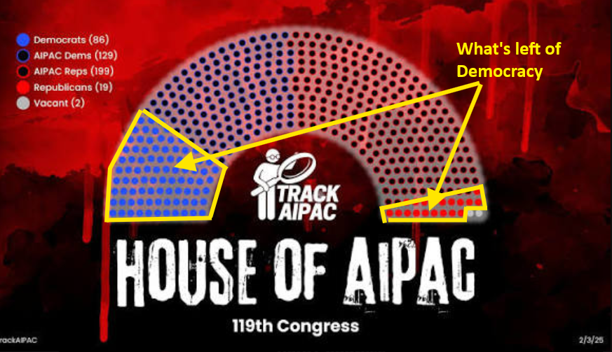naasvzyl's tweet photo. @FurkanGozukara As I said, the midterms is not contested between Republicans and Democrats, it is contested between AIPAC and Democracy. https://t.co/zMpnEUho2t