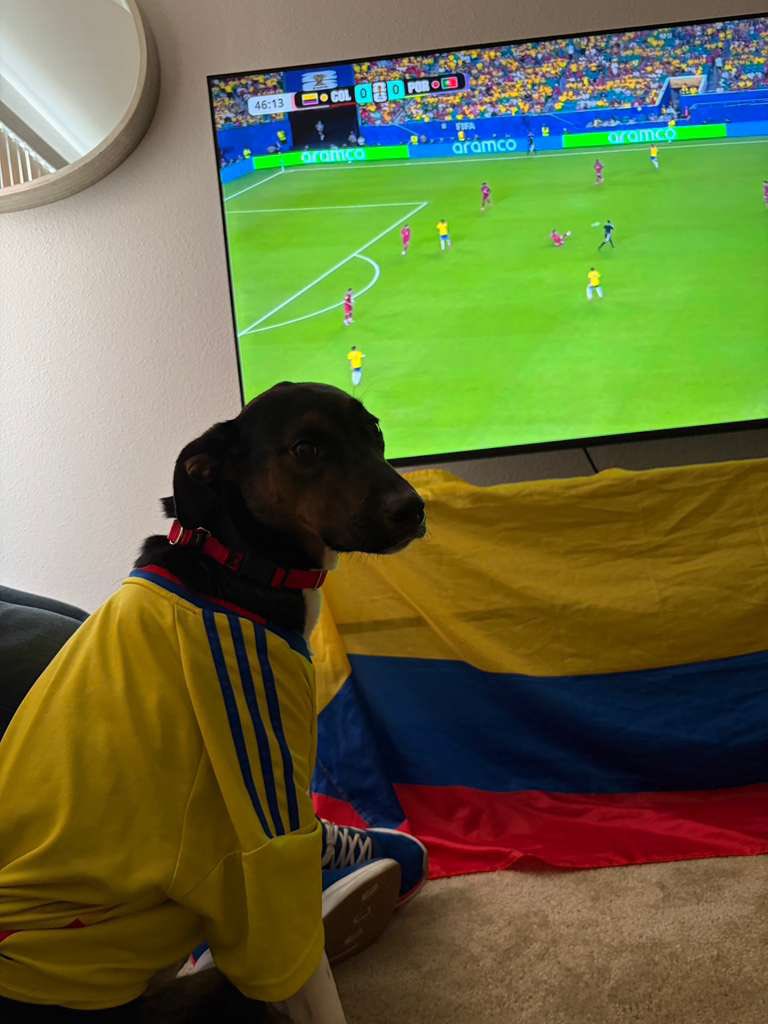 PabonAngelaM's tweet photo. 🇨🇴 https://t.co/XcAktnXa8E
