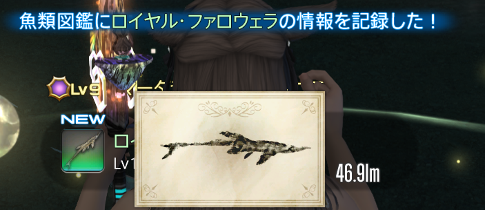 dosudosuo's tweet photo. ロイヤルファロウェラ実在した https://t.co/OEo6ORd47d