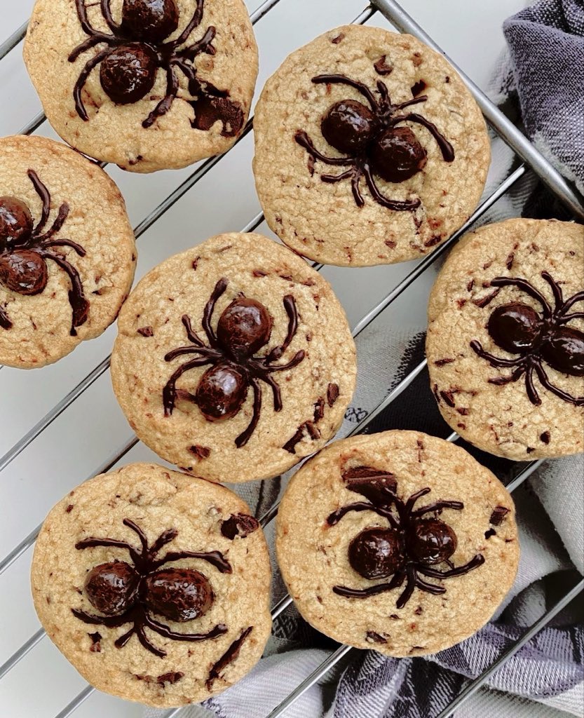 ︎ ︎ ︎ ︎ ︎ ︎ ︎ ︎ ︎ ︎ 🕷️★ ‎ ͜͝ . ֹೃ tweet media