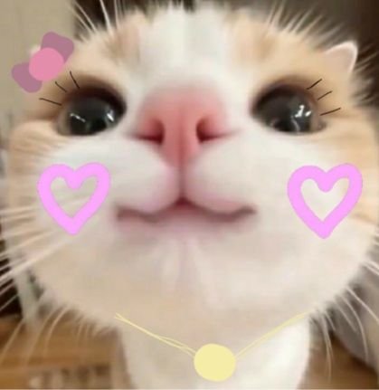 anyyaaaaaa_'s tweet photo. @Ofkazee https://t.co/kBRysCQBMa
