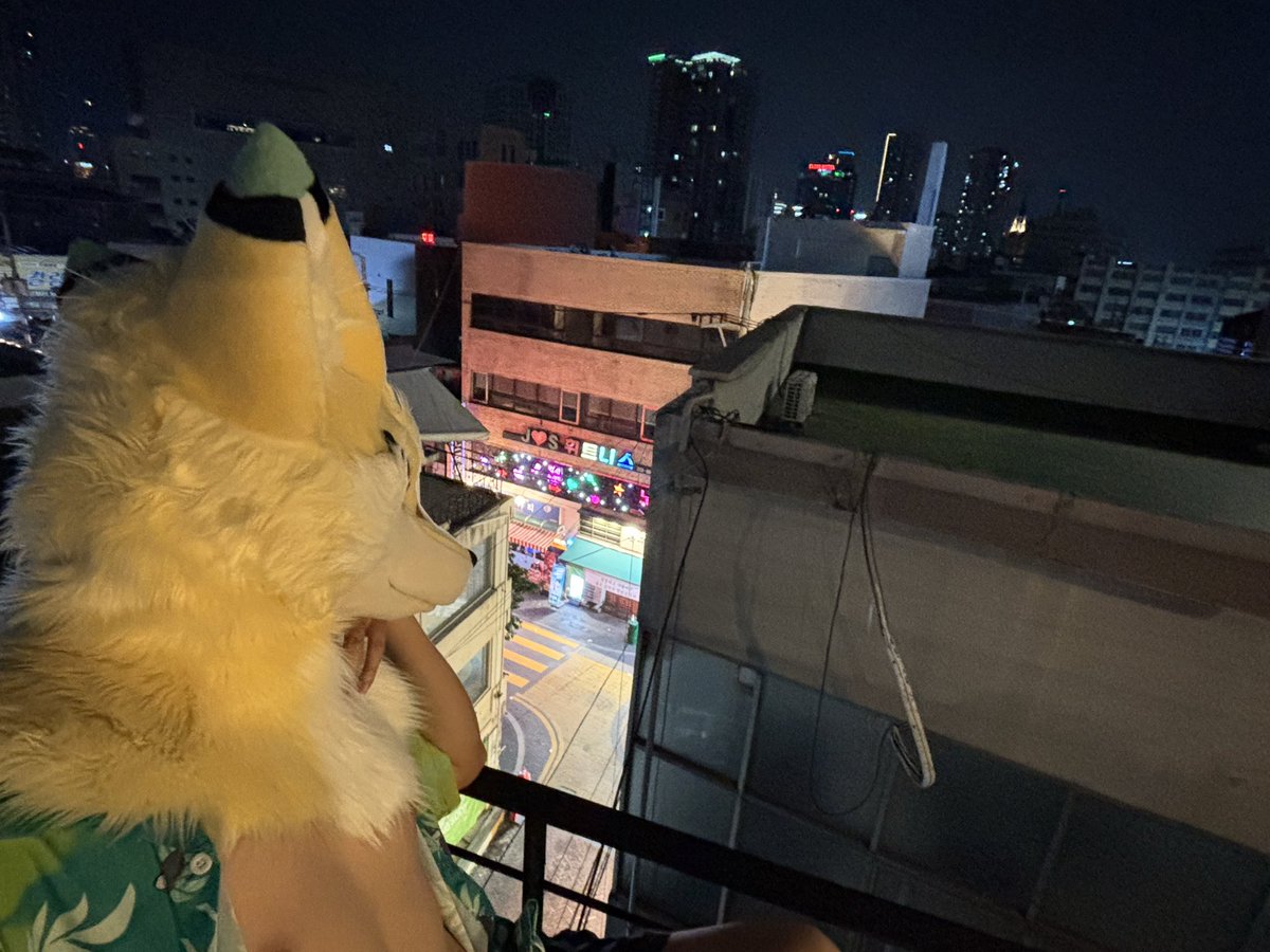 ghost01128's tweet photo. 國外拍個夜晚毛五～ https://t.co/6BUbAFSVNj