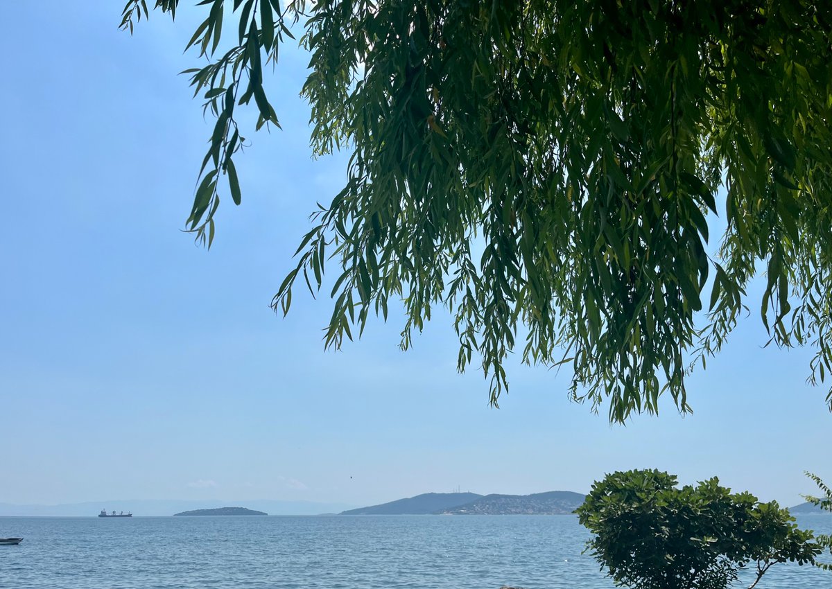 Onurr144's tweet photo. #dragos #kartal kordonboyu #istanbul https://t.co/ndUYkcsYWL