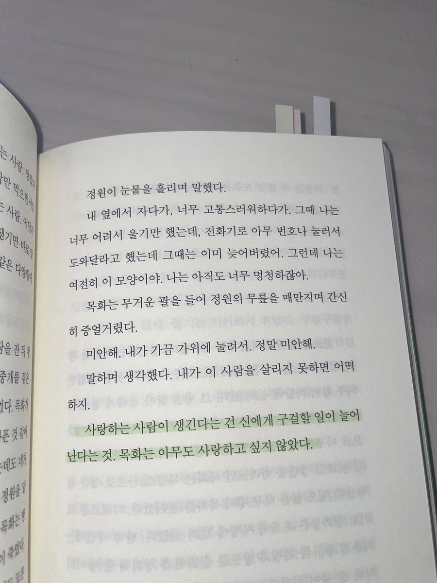 피리 tweet media