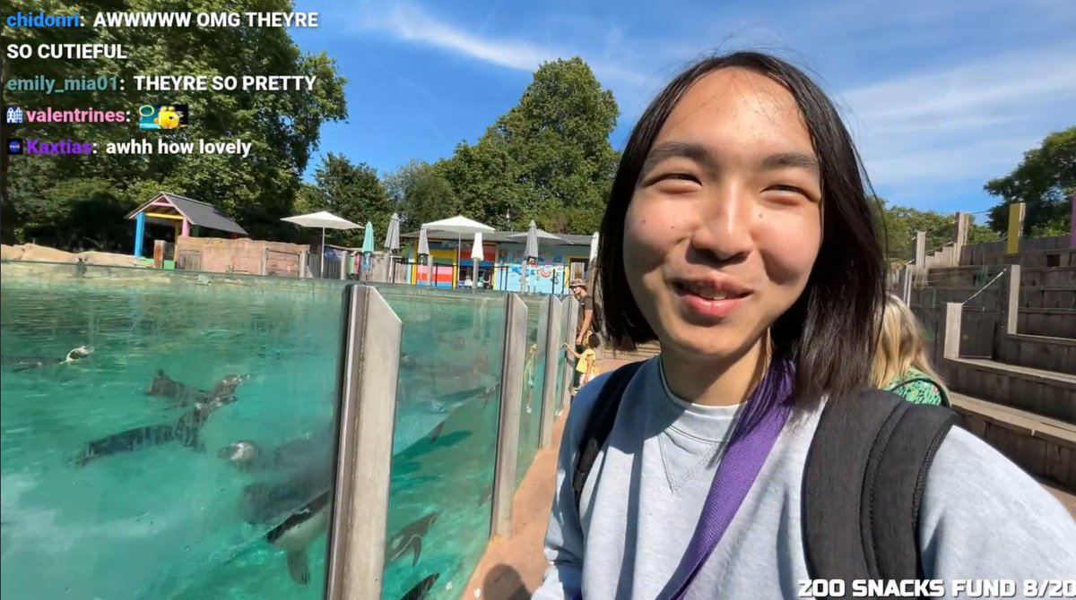 haxenjoyer's tweet photo. HACKINGNOISES AMAZED BY PENGUINS AT THE ZOO https://t.co/PfzazRGWbi