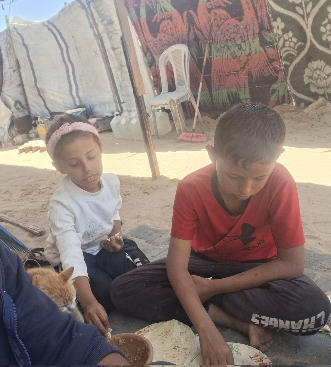_Youssef_Saeeid's tweet photo. 🆘️🍞 My children are only $15 away from a loaf of bread.
🥺 It's heartbreaking that this small amount is beyond my means, while my children are waiting for food.
💔 Please help me by donating or sharing my appeal; every contribution could give us enough bread for a few days. 
https://t.co/r3VaLxoT1u