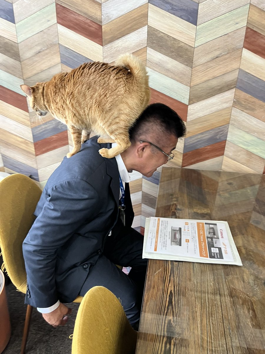 iyashi_ka's tweet photo. 取引先さんとの打合せ中…🐾 https://t.co/0DEoPYKZPy