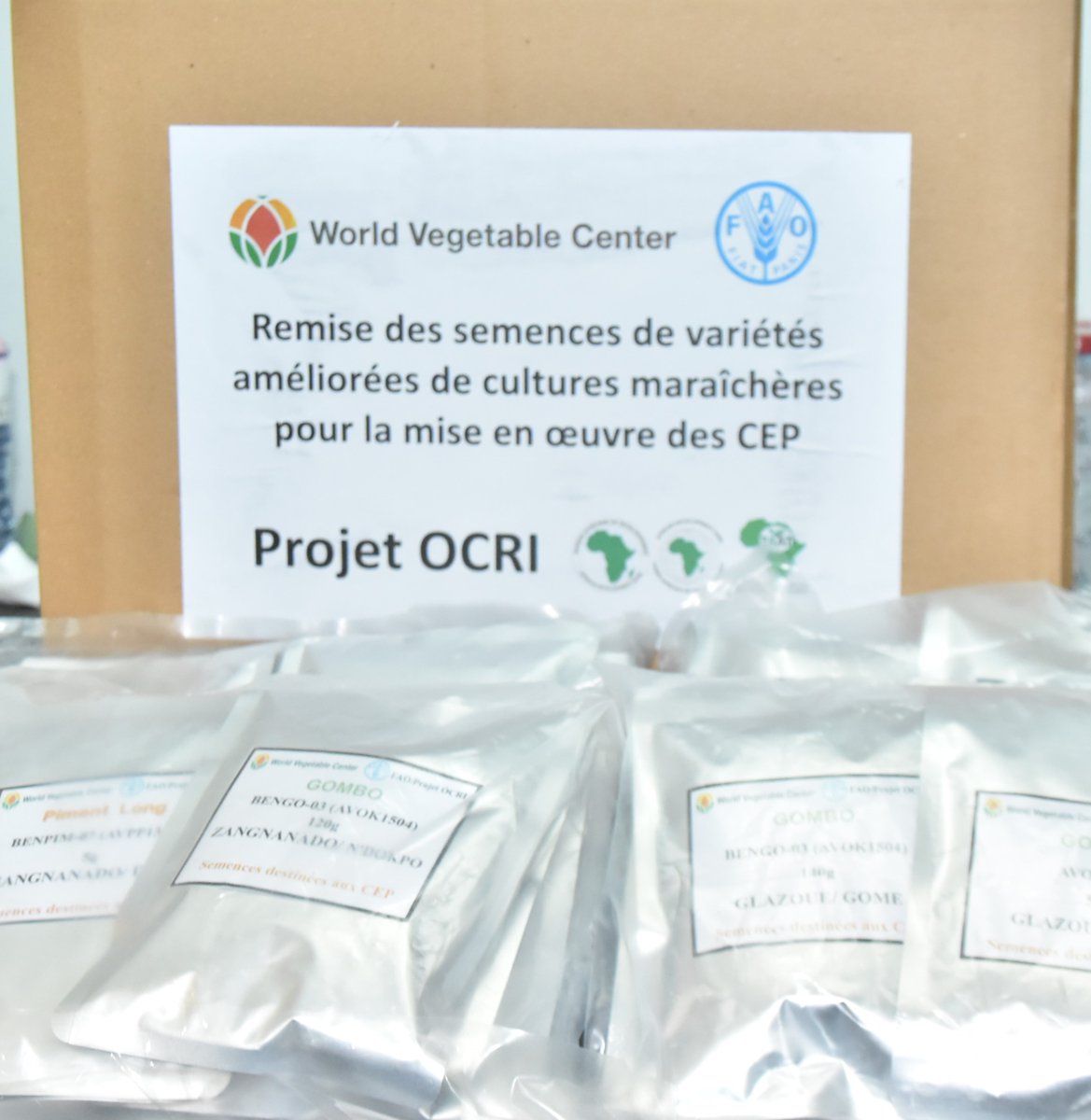 FAOBenin's tweet photo. 🇧🇯La @FAO a reçu plus de 15 kg de semences maraîchères améliorées offertes par le World Vegetable Center. 
Ces semences sont destinées à 57 Champs Écoles des Producteurs dans le cadre du projet #OCRI pour soutenir l'apprentissage et l'innovation agricole. https://t.co/iQ4SaN8BZB