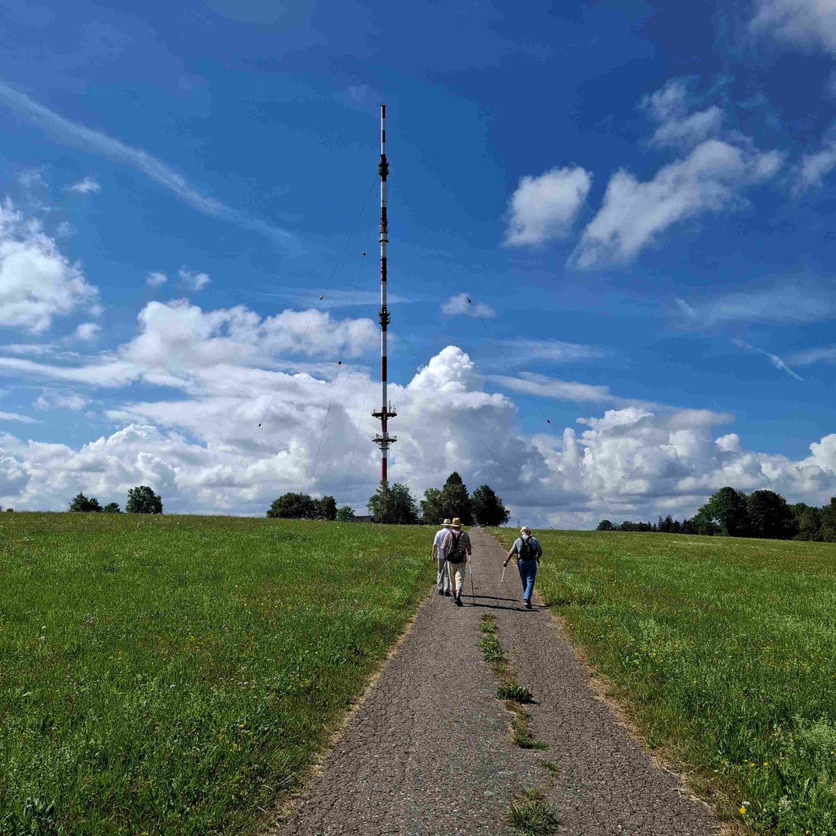 HSderSchreiber's tweet photo. #Wanderung #Hotzenwald. Sendeturm in der Nähe von #Bergalingen. https://t.co/0FyIkI2iwQ