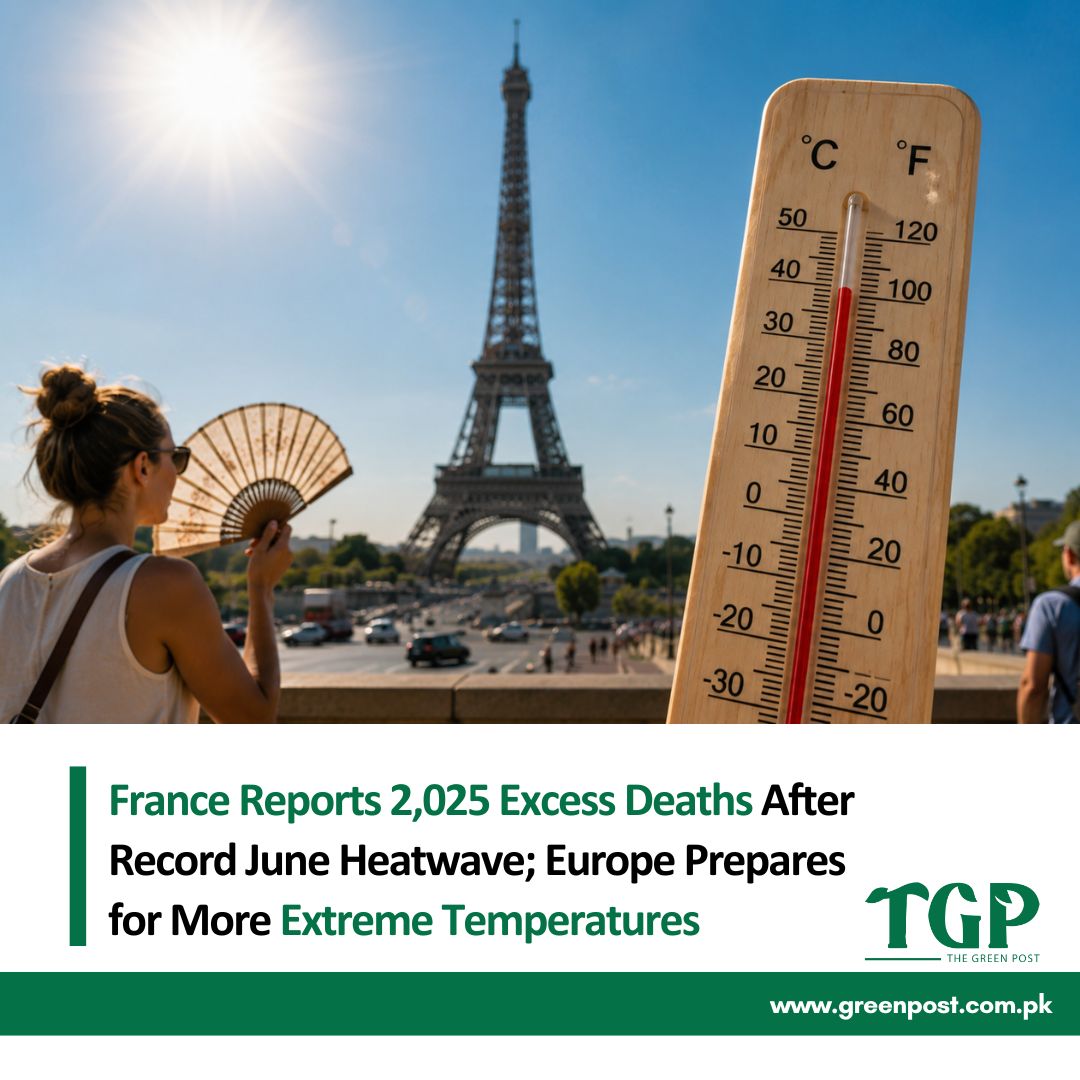 GreenPostpk's tweet photo. France reports 2,025 excess deaths after record June heatwave as Europe braces for another extreme temperature surge across multiple countries.
Read full story here: https://t.co/mClojDJ9an
#Heatwave #ClimateChange #Europe #GlobalWarming #TheGreenPost https://t.co/MdyIh9jEng
