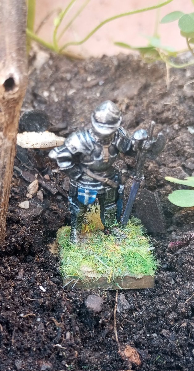 LordManteca's tweet photo. @DespertaFerro De todas formas hasta juntarme con las minis adecuadas, escenografía y demas...estoy intentado seguir una pequeña historia más de espías, y pequeñas acciones con el #gloire , gran juego pero que solo me gusta a mí. Hasta cuando durará el
#hype? https://t.co/ORZopoR1Vh