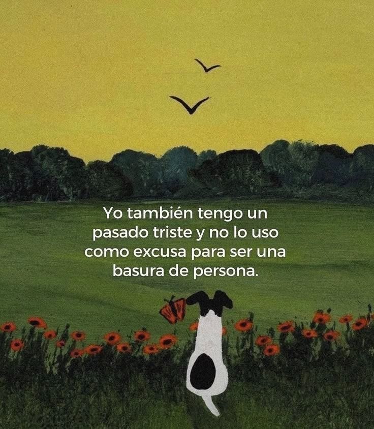 ANIMALITOSSANA's tweet photo. https://t.co/1AojZZEY1W
