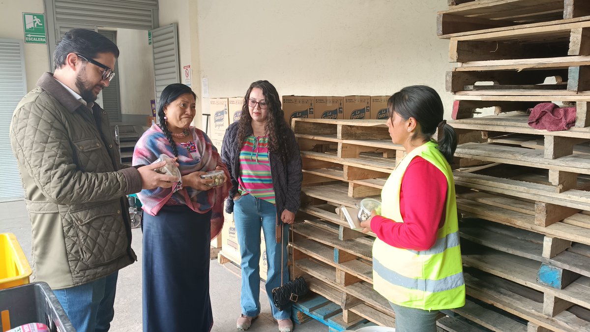 Agricultura_CZ6's tweet photo. #Azuay| Liliana Morocho, productora de huevos de codorniz de la #AgriculturaFamiliarCampesina, comercializa semanalmente más de 4.000 huevos de manera directa en supermercados de Cuenca gracias a la vinculación y acompañamiento del #MAGP, fortaleciendo sus ingresos familiares. https://t.co/BZX8K6Svbb