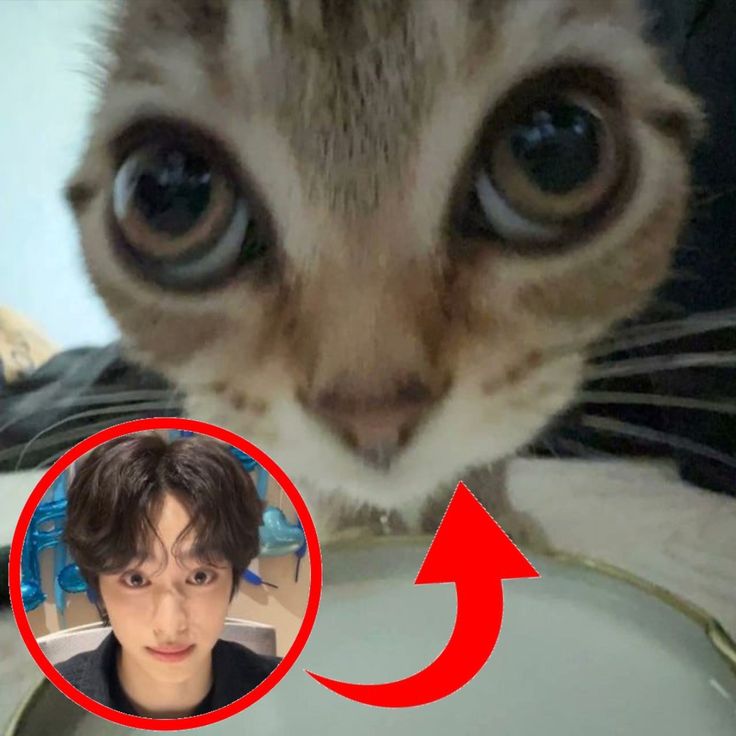 ahnstargaze's tweet photo. serius enih 30 menit lg? 🥶 https://t.co/hOuIefI9YJ