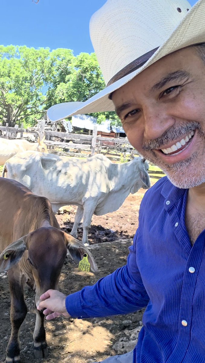 victorcervera's tweet photo. ¡Me ven y quieren lamerme, son muy curiosos los becerritos!
A veces se dejan acariciar y es la sensación mas bonita.
Llegó el #findesemana 

#ganado #vaquero #latino #becerros #vivelavida https://t.co/pP9f0Gjdpk