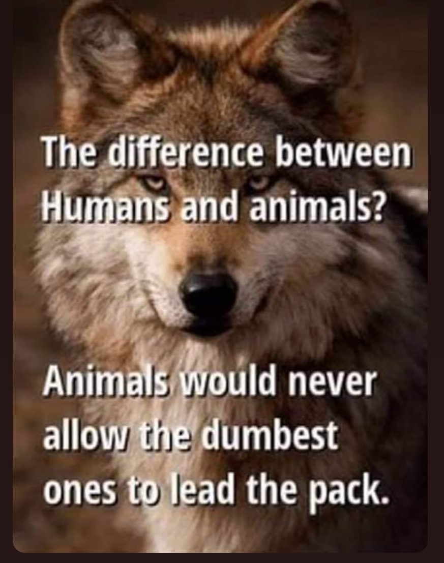 GP46822778's tweet photo. lol😆...Too true!! https://t.co/tYkylWjB9x