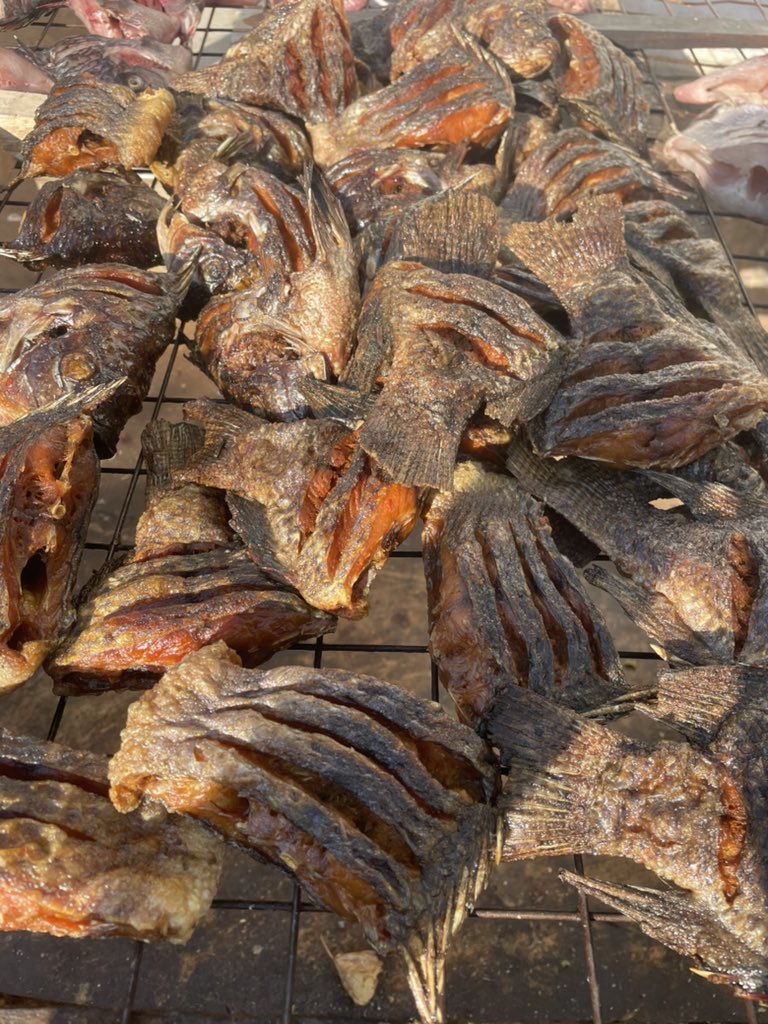 MarekaMalili's tweet photo. Wakuu mlio Tanga, sasa Samaki Fresh au wa Kukaanga wanakufikia Tanga bila Jasho.
Chuma inaondoka saa 9 mchana, mzigo wako unapokea saa 1 asubuhi kesho yake.
Hakuna kuunga unga tena.
0762344677 https://t.co/uOXPE5vjJN