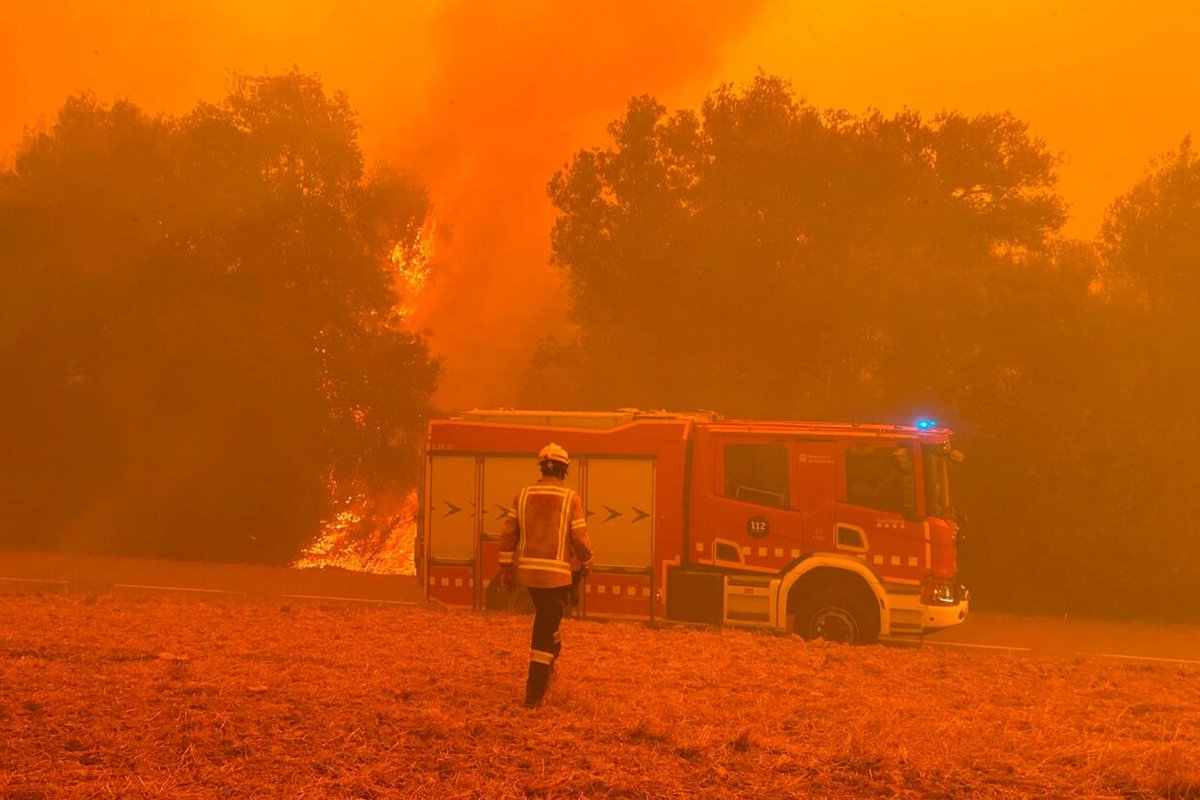 muntadalluis's tweet photo. A les Gavarres hi hem viscut, crescut, estimat.
Desolació.
Ara hem d'afrontar la immediatesa de l'incendi.Però el país se'ns  fon a les mans.Abans que vingui el president Illa a sedar-nos de nou, cal dir prou a aquest sistema extractiu colonial que ell i tants altres apuntalen. https://t.co/XqRRyWi6Eb