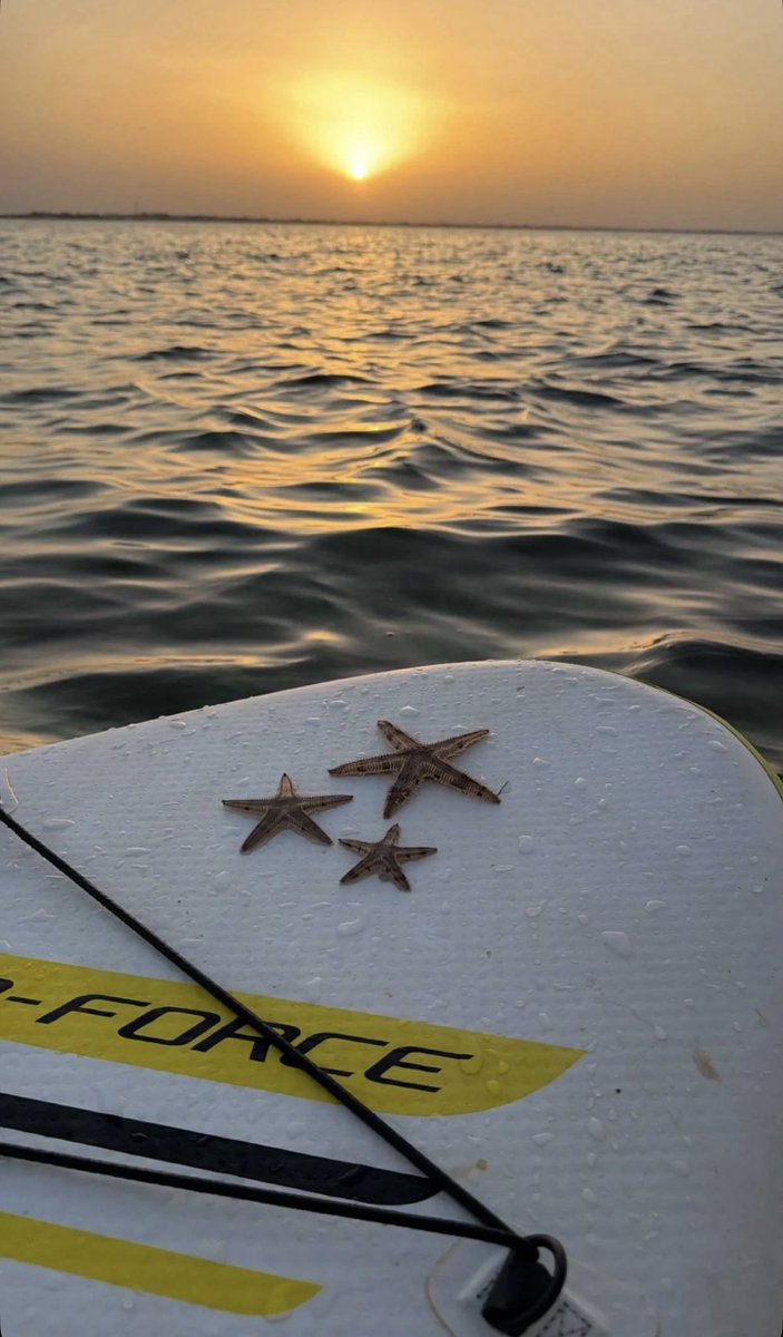 hamadenn_'s tweet photo. seas the day💆🏽‍♂️ https://t.co/3LuMkA9gOV