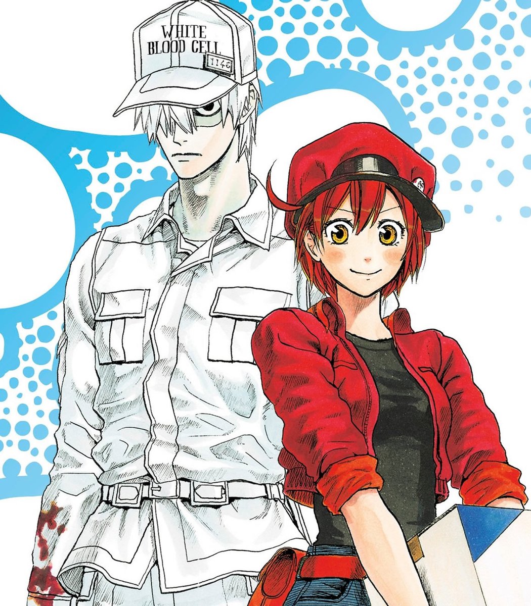 animetrends's tweet photo. KODANSHA PIDE PERDÓN A FAMOSA CREADORA

La editorial Kodansha, responsable del manga "Cells at Work", emitió una disculpa pública formal dirigida a su creadora, Akane Shimizu.

El departamento editorial admitió que ignoró las constantes súplicas de la autora por mejoras en la supervisión médica, fallando rotundamente en brindarle apoyo profesional.

También confesaron haber eliminado injustamente su nombre de los créditos en un libro de 2019, aceptando que esta negligencia le causó un inmenso daño emocional.

Tras confirmar el despido del editor responsable, la empresa prometió mejorar sus condiciones laborales.

El daño ya estaba hecho.