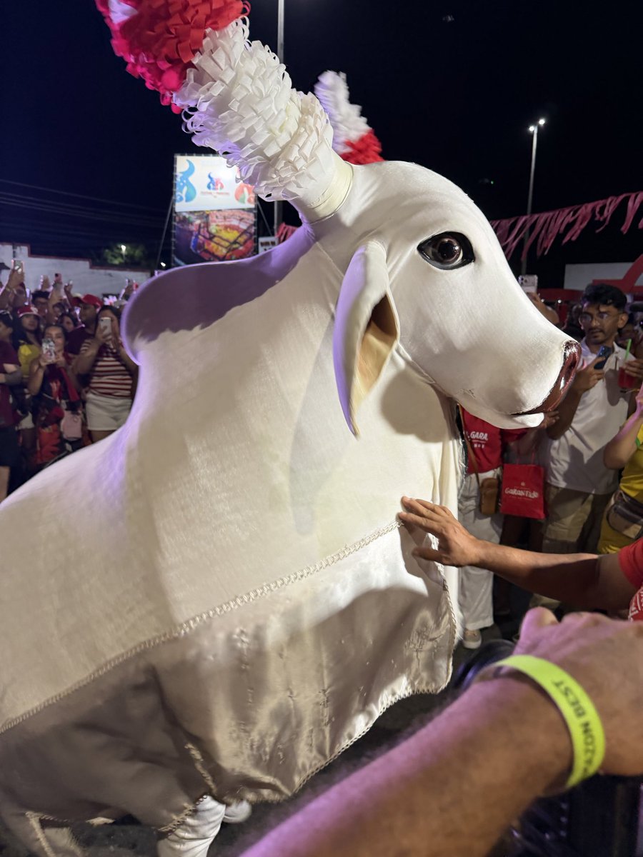 jdavidbordain's tweet photo. Sobre o mês do festival de Parintins ❤️🐮🥁
Garantido, meu grande amor 🐮 #boigarantido #parintins https://t.co/ZYi4vq2TOC