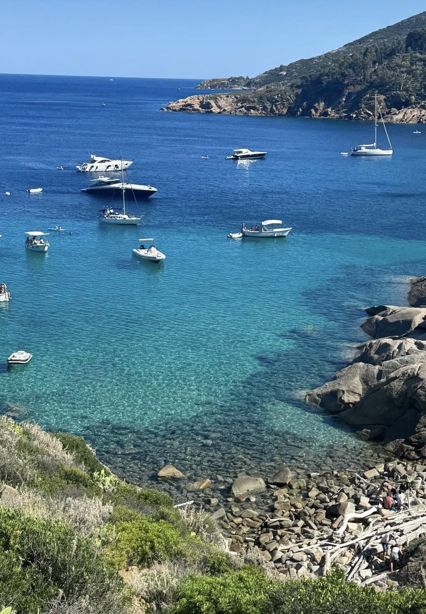 cippibg's tweet photo. Cartoline dal Giglio💙🩷
#jonita #aniters #pepes https://t.co/KEkO65wkWt