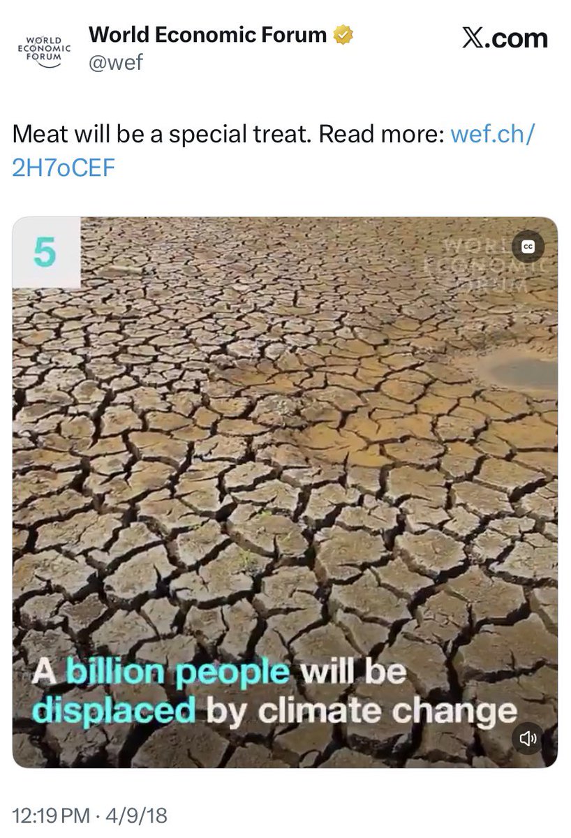 CocoMccool's tweet photo. The WEF told us there would be mass immigration. https://t.co/nUPep5aaop