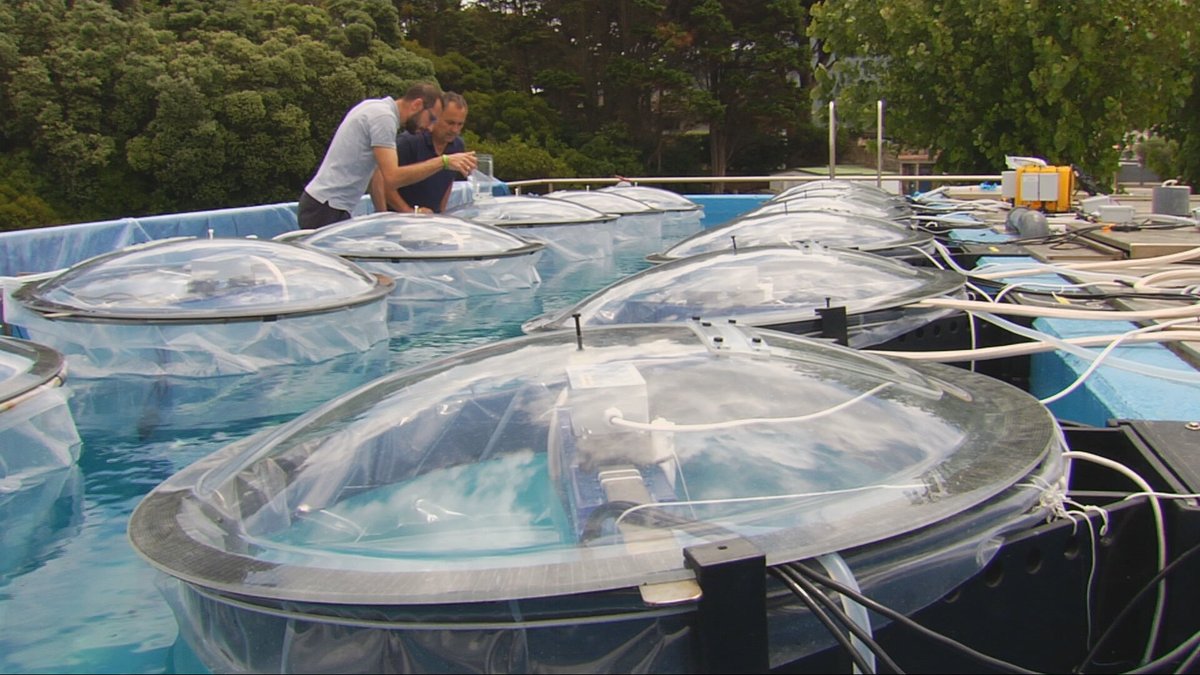 agrosfera_tve's tweet photo. La Estación de Ciencias Marinas de Vigo @CIM_Uvigo  cumple 20 años. Un referente en la investigación de los océanos. https://t.co/y08Zesxctg