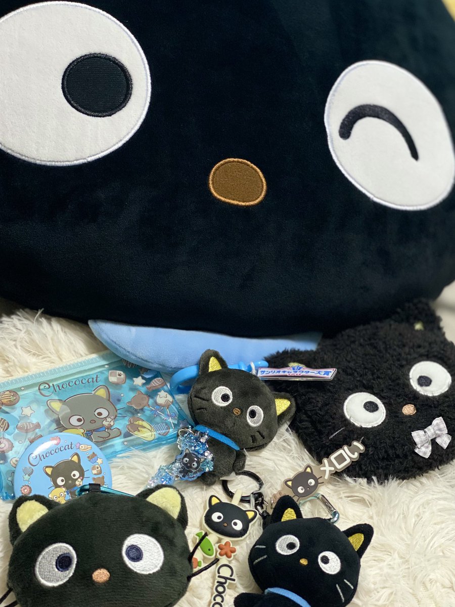 corozo_76's tweet photo. 最近のボクです🐈‍⬛ギリ元気です
色々頑張ってます
1キロだ毛減ってました うへへ https://t.co/dNTUyBK2dR