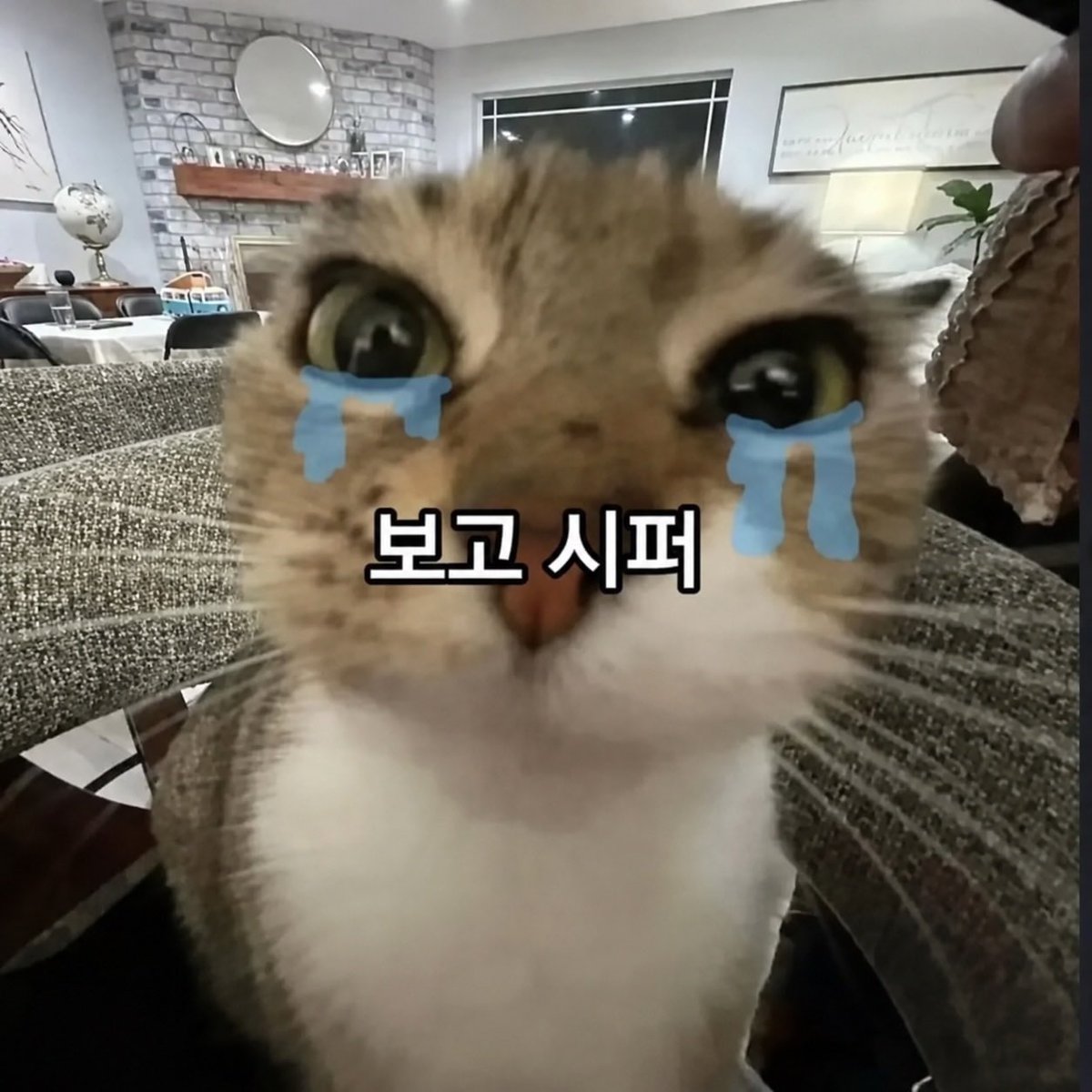 all_myeon's tweet photo. #menow https://t.co/4NQaXL2w44