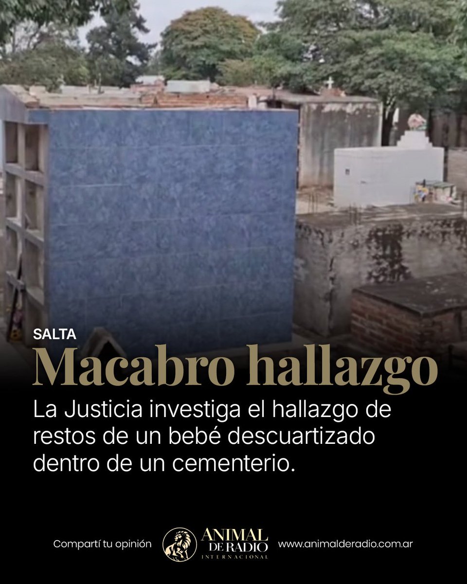 adrprensa's tweet photo. 🇦🇷 Salta | Investigan el hallazgo de restos descuartizados de un bebé en un cementerio

📰 Nota completa: https://t.co/QbCCGj1I4U

#Salta #GeneralGüemes #Policiales #Investigación #Justicia https://t.co/x0oOEadKOI